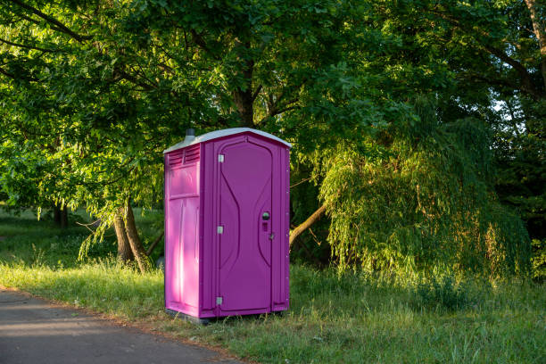 Best Local porta potty services  in Mayville, ND